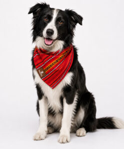Bandana Andina Maras